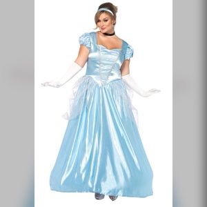 HOLD Plus Size Princess Cinderella Costume